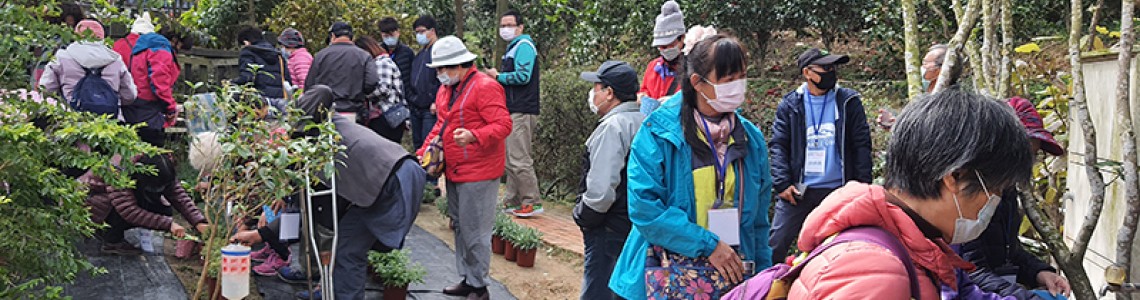 杜石地一號紫錐花莊園