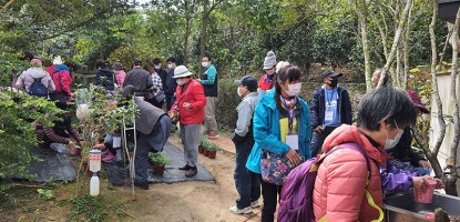 杜石地一號紫錐花莊園